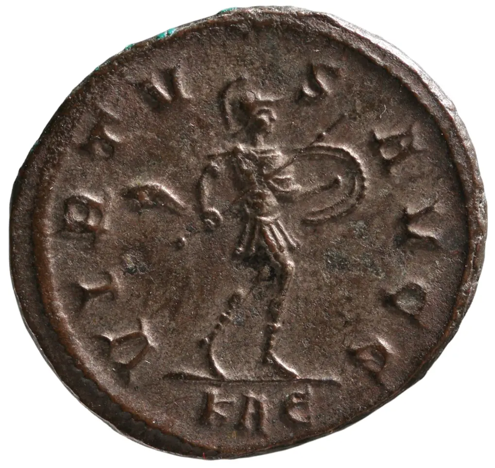 Carinus