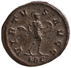 Carinus