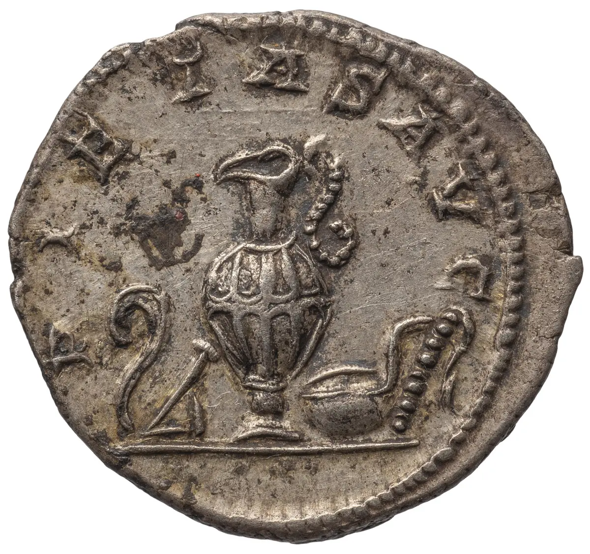 Severus Alexander