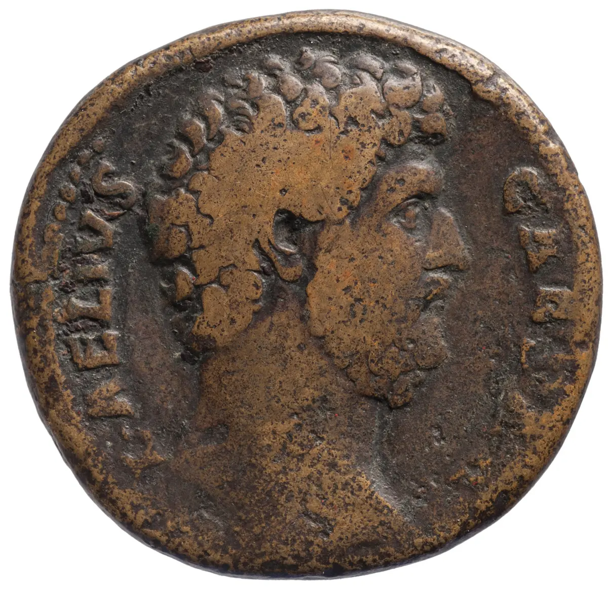 Lucius Aelius