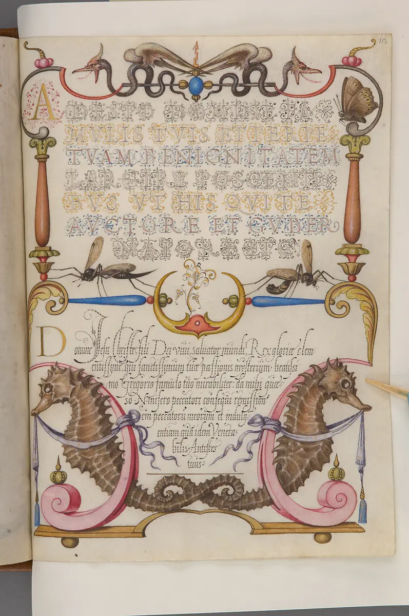 Schriftmusterbuch; 127 Blatt Pergament