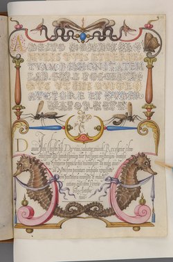 Schriftmusterbuch; 127 Blatt Pergament