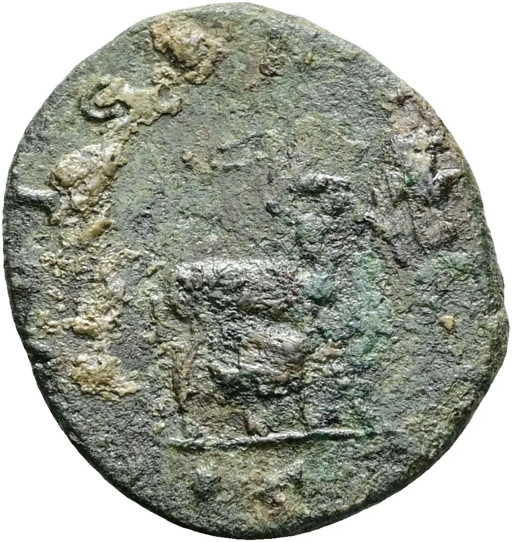 Münze