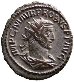 Probus