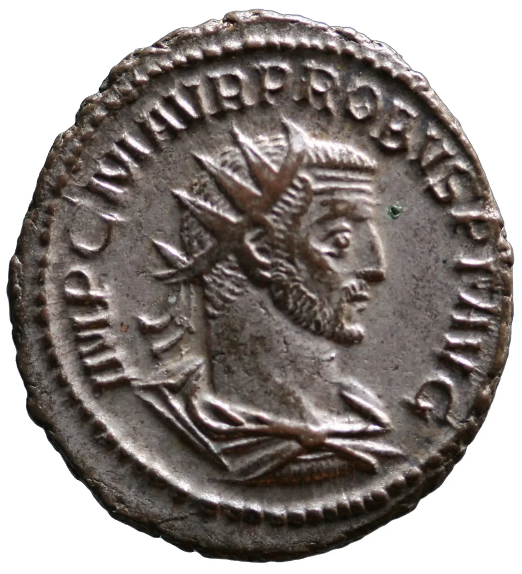 Probus