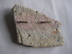 Fragment aus der rechten Hälfte einer Nillandschaft: Krokodil, zwei Enten