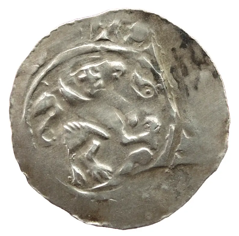 Herzöge von Kärnten / Herren von Krain: Bernhard (1202–1256)