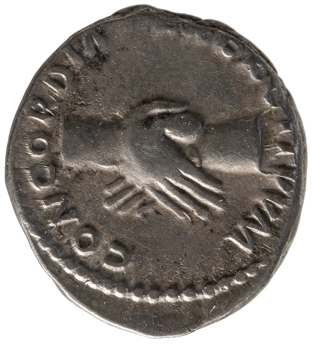 Nerva