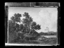 Landschaft mit Kühen