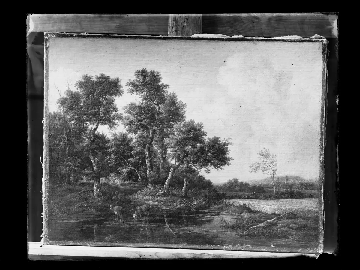 Landschaft mit Kühen