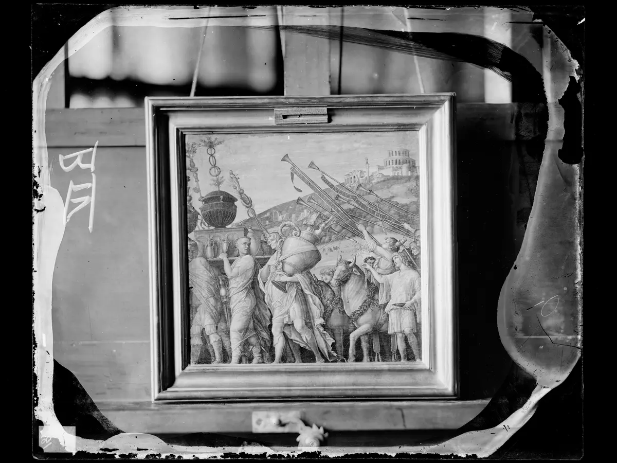 Triumphzug Cäsars: Opfertiere