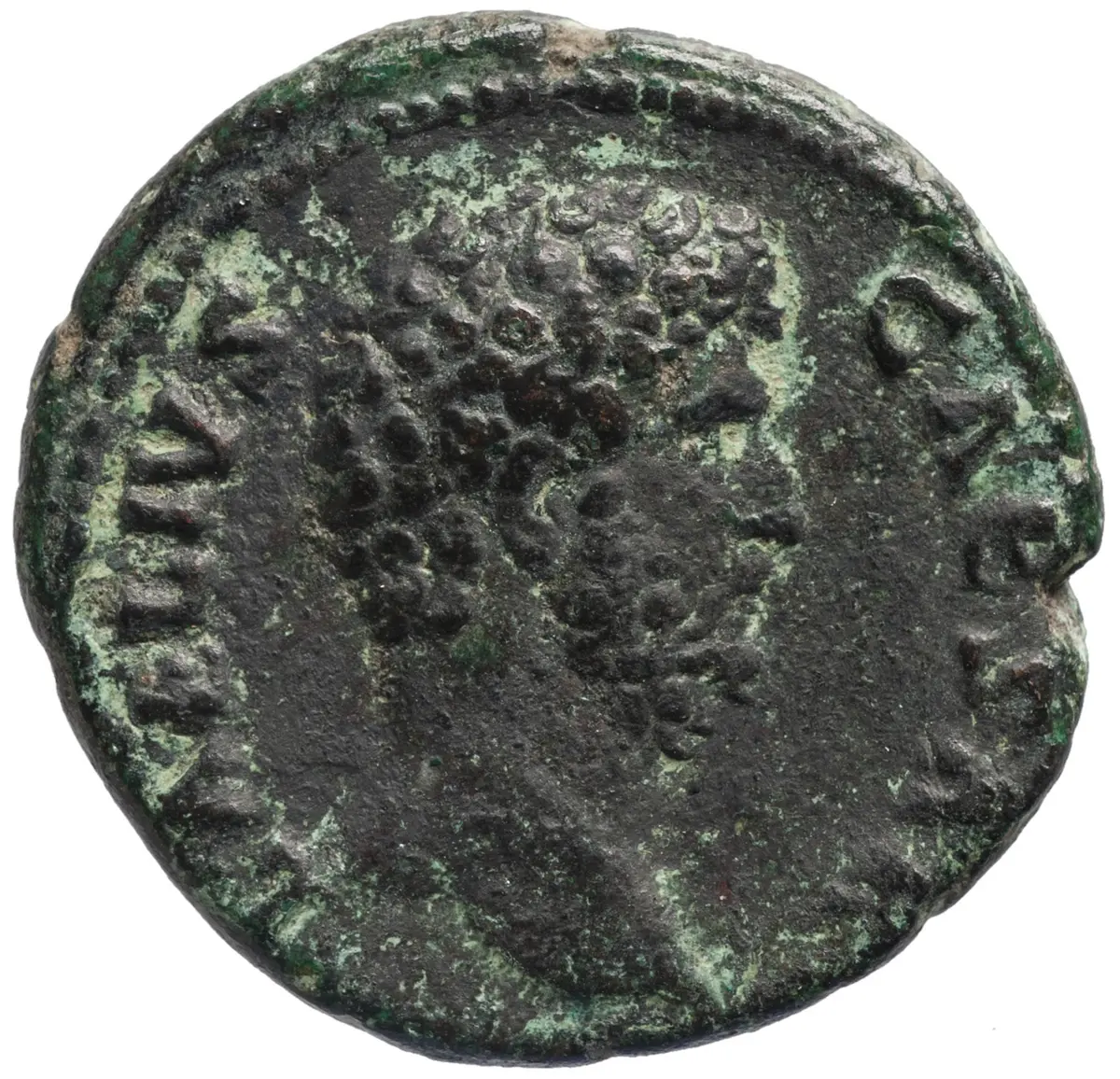 Lucius Aelius