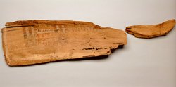 Fragmente des Sarges der Meret-ites