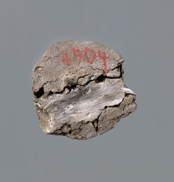 Siegelabdruck
