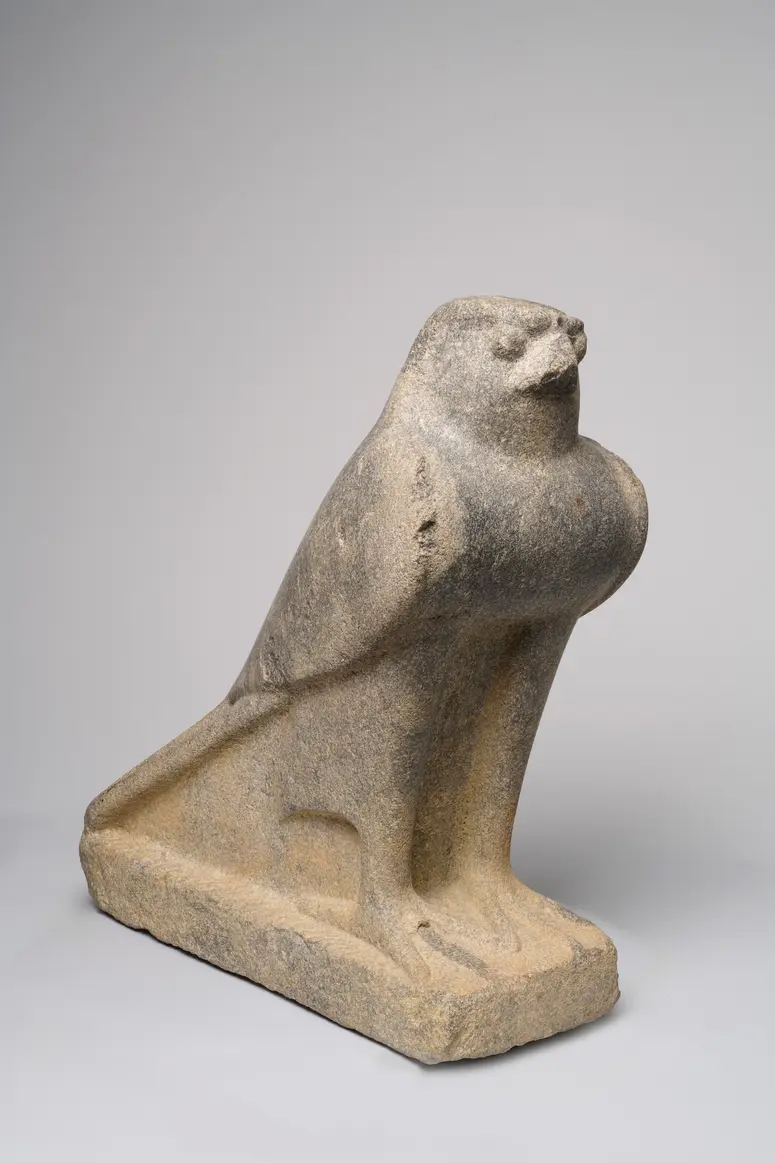 Standing falcon