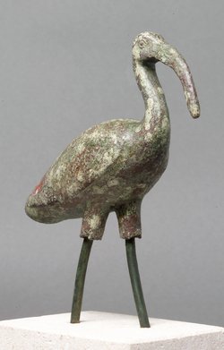 Schreitender Ibis