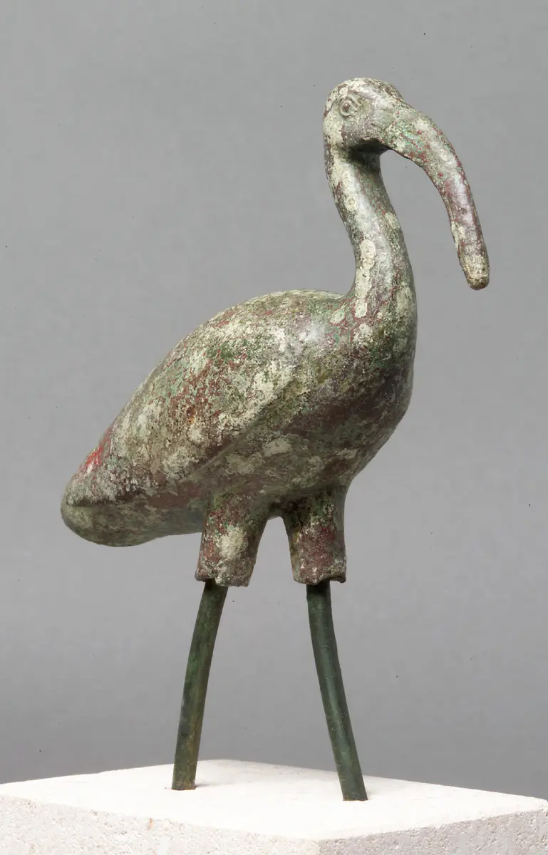 Schreitender Ibis