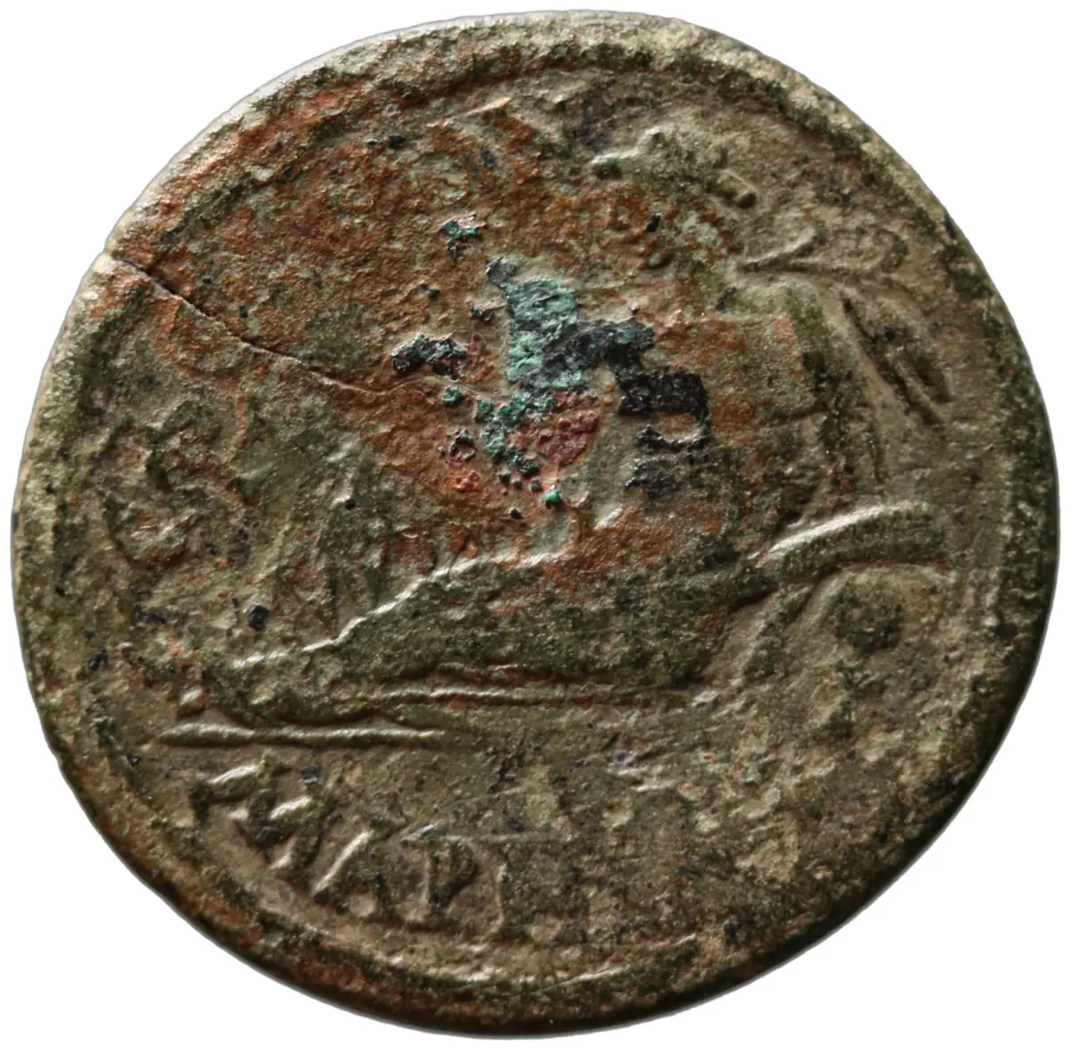 Ephesos: Domitian