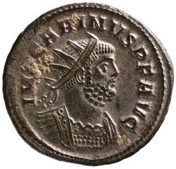 Carinus