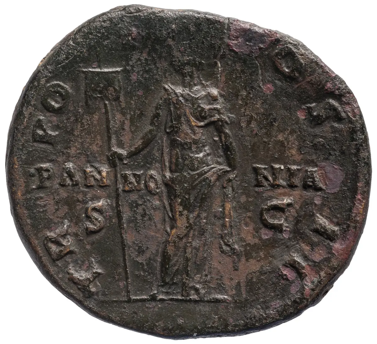 Lucius Aelius