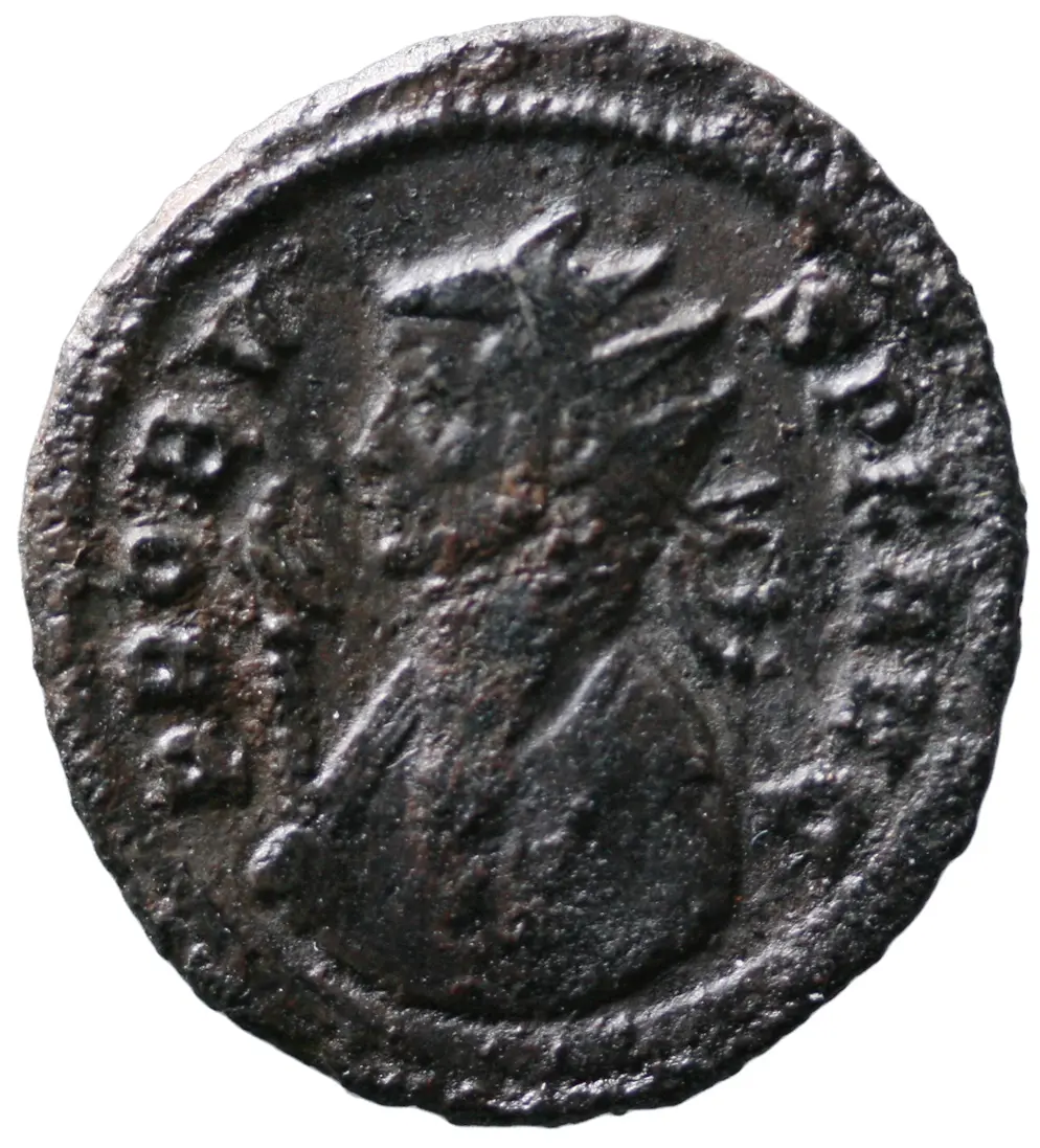 Probus