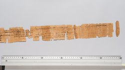 Papyrus, hieratisch