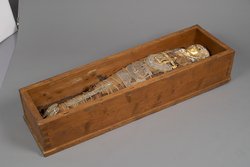 Unterteil des Kastensarges des An-em-her mit Mumie und Teilkartonage