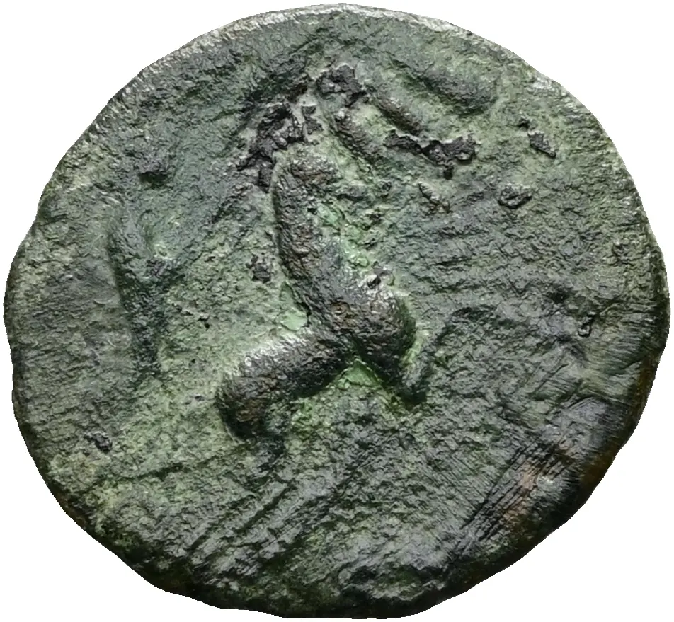 Divus Constantinus I.