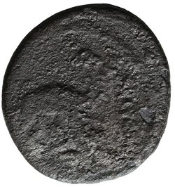 Röm. Republik: A. Plautius