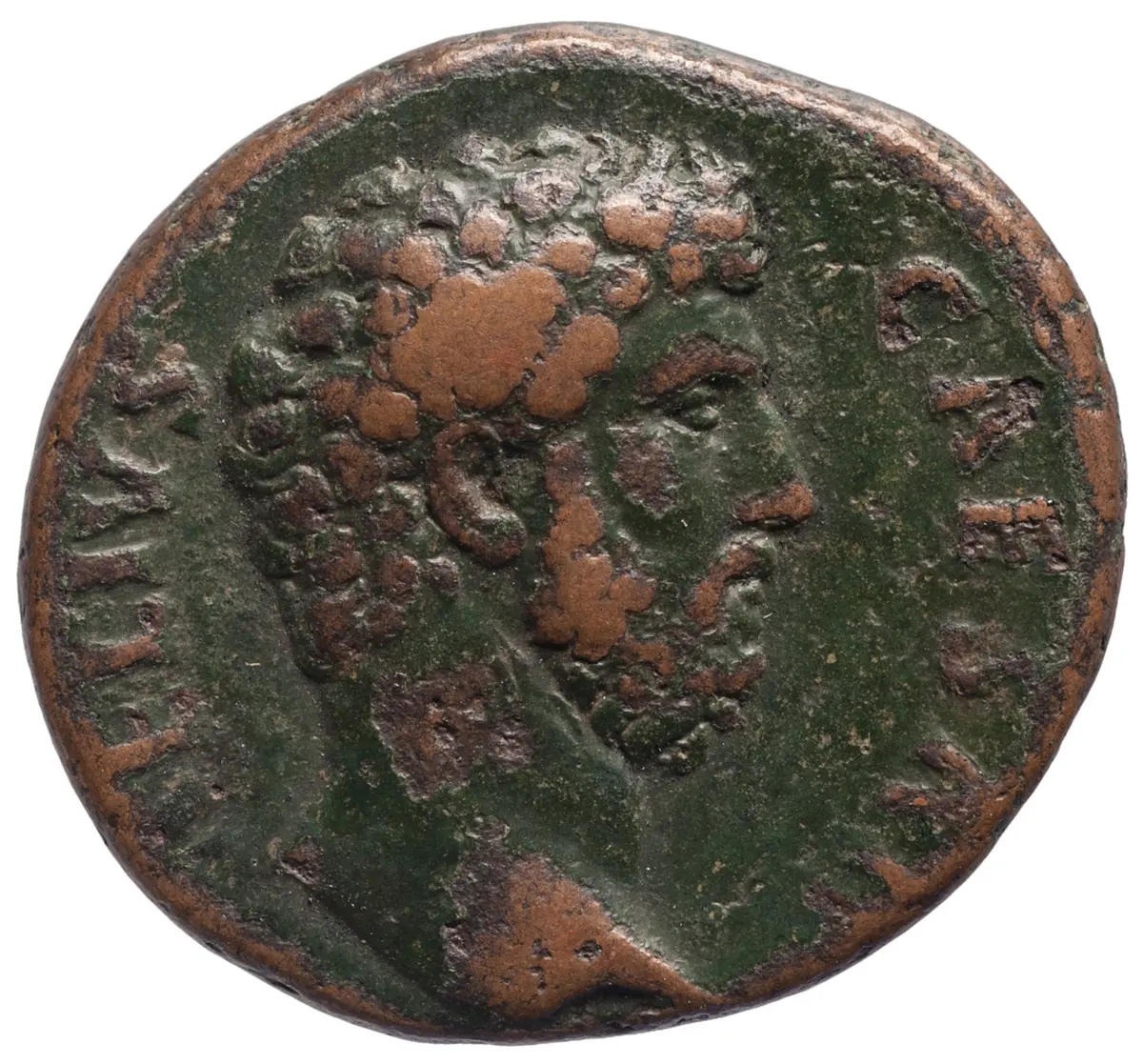 Lucius Aelius