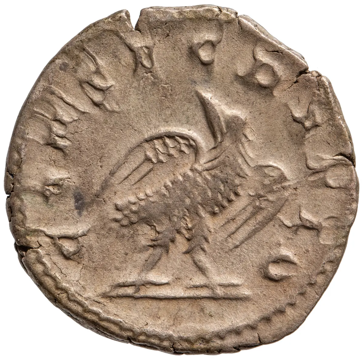 Divus Vespasianus