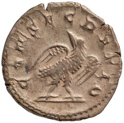 Divus Vespasianus
