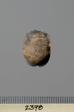 Mumienskarabäus