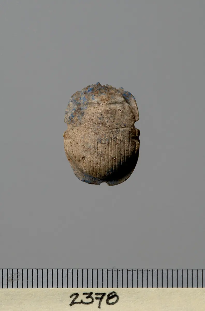 Mumienskarabäus