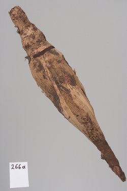 Kleine Krokodilsmumie