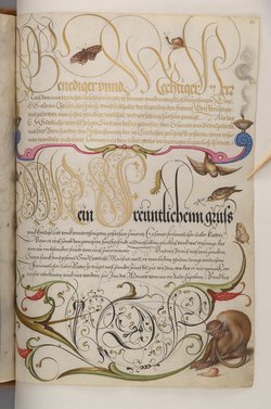 Schriftmusterbuch; 127 Blatt Pergament