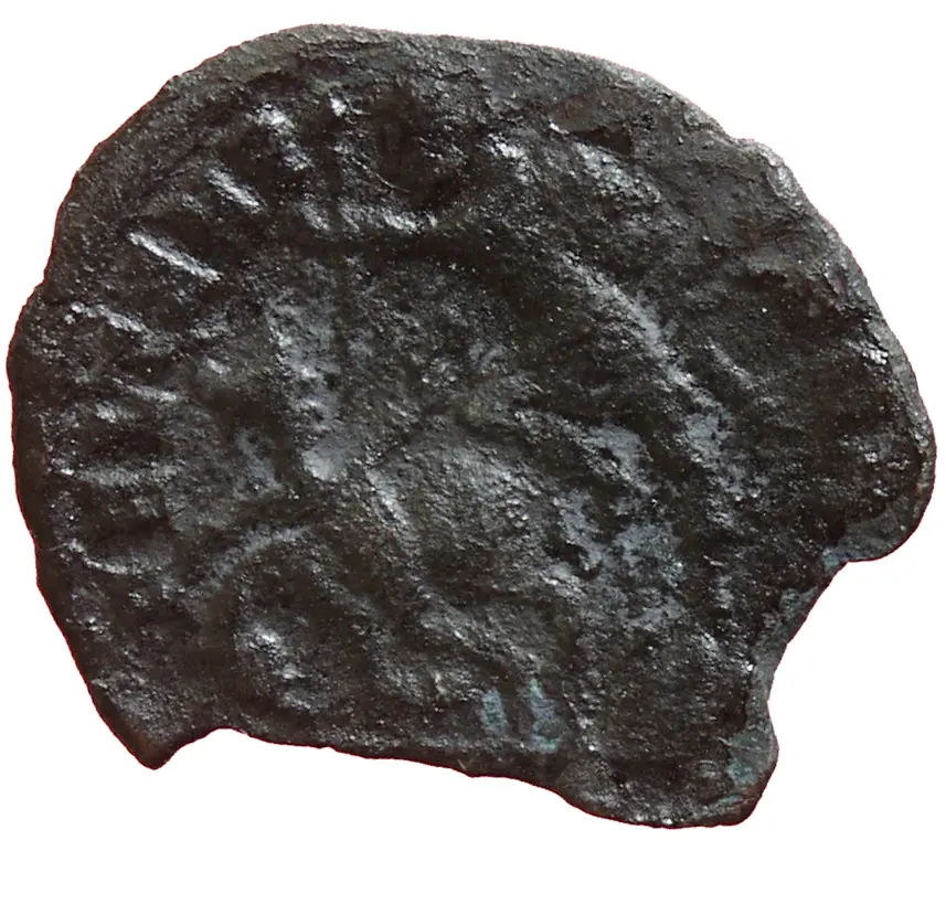 Constantius Gallus