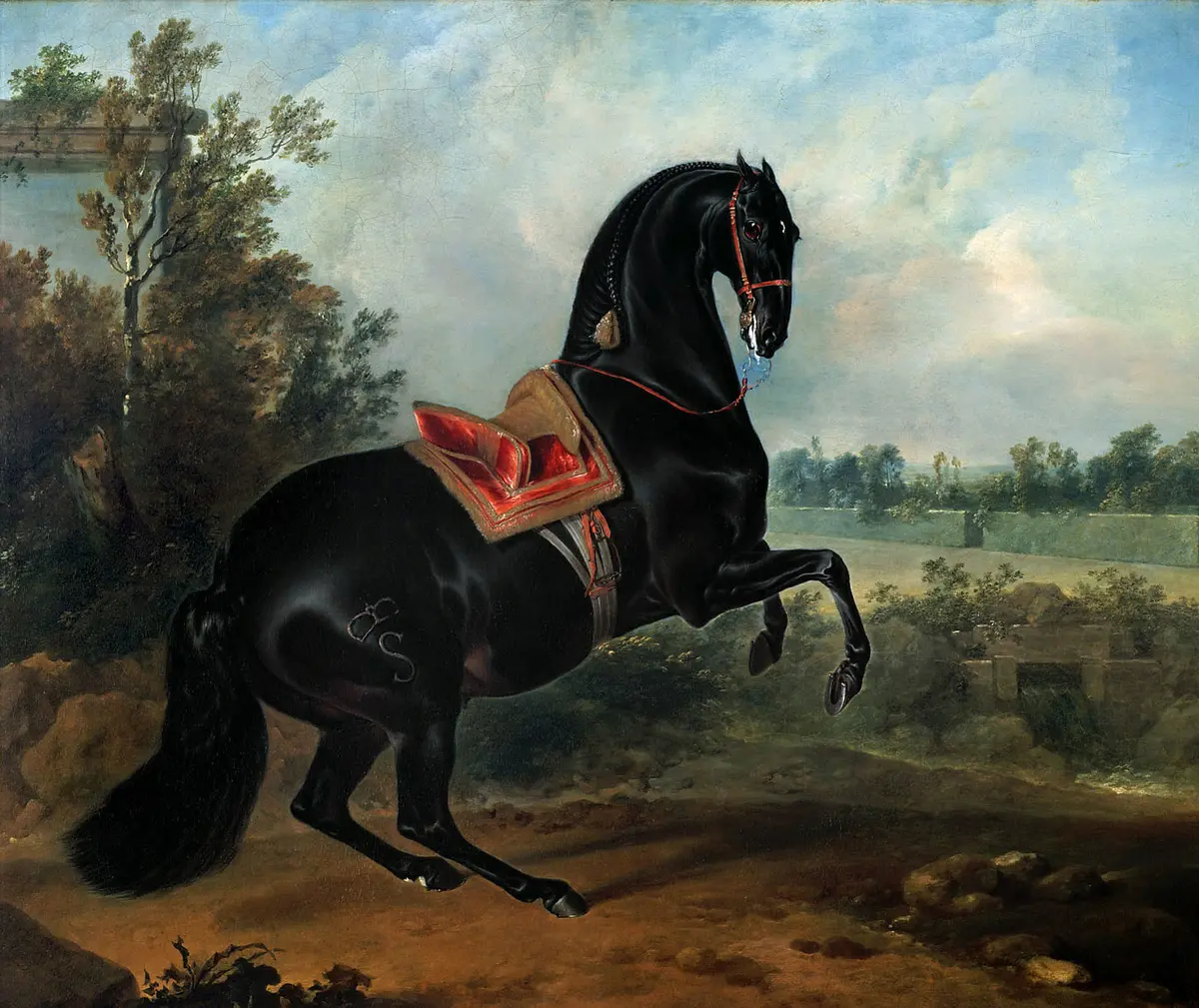 Kaiserlicher Hengst in der Levade