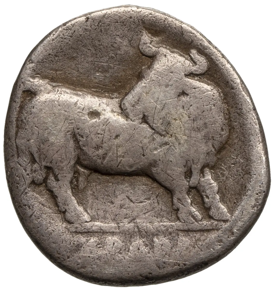 Sybaris