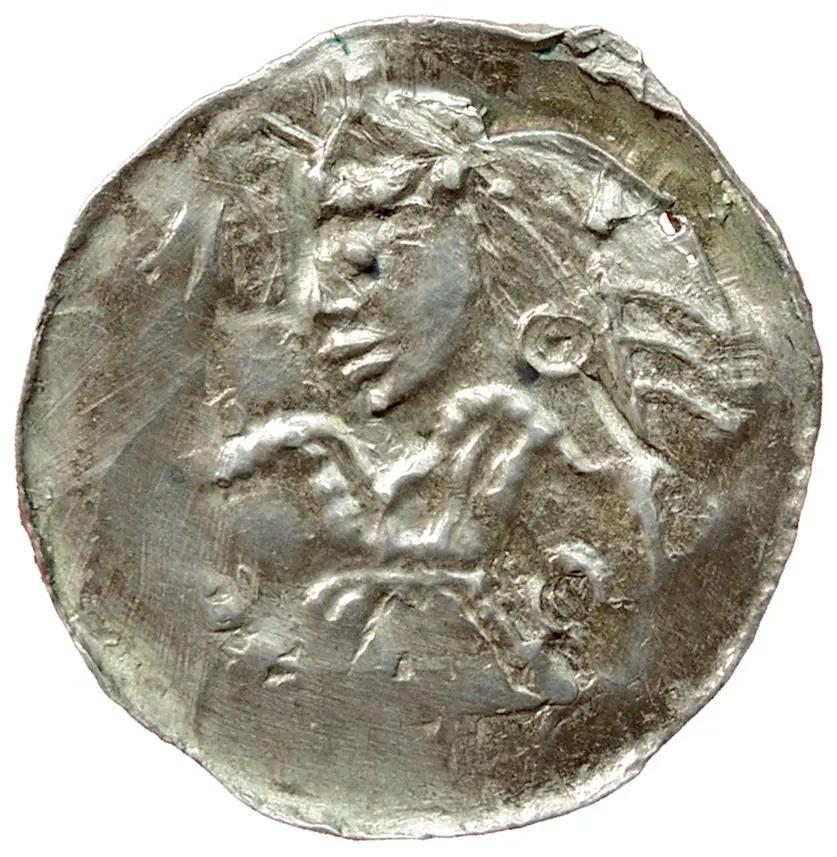 Herzöge von Kärnten: Heinrich V.