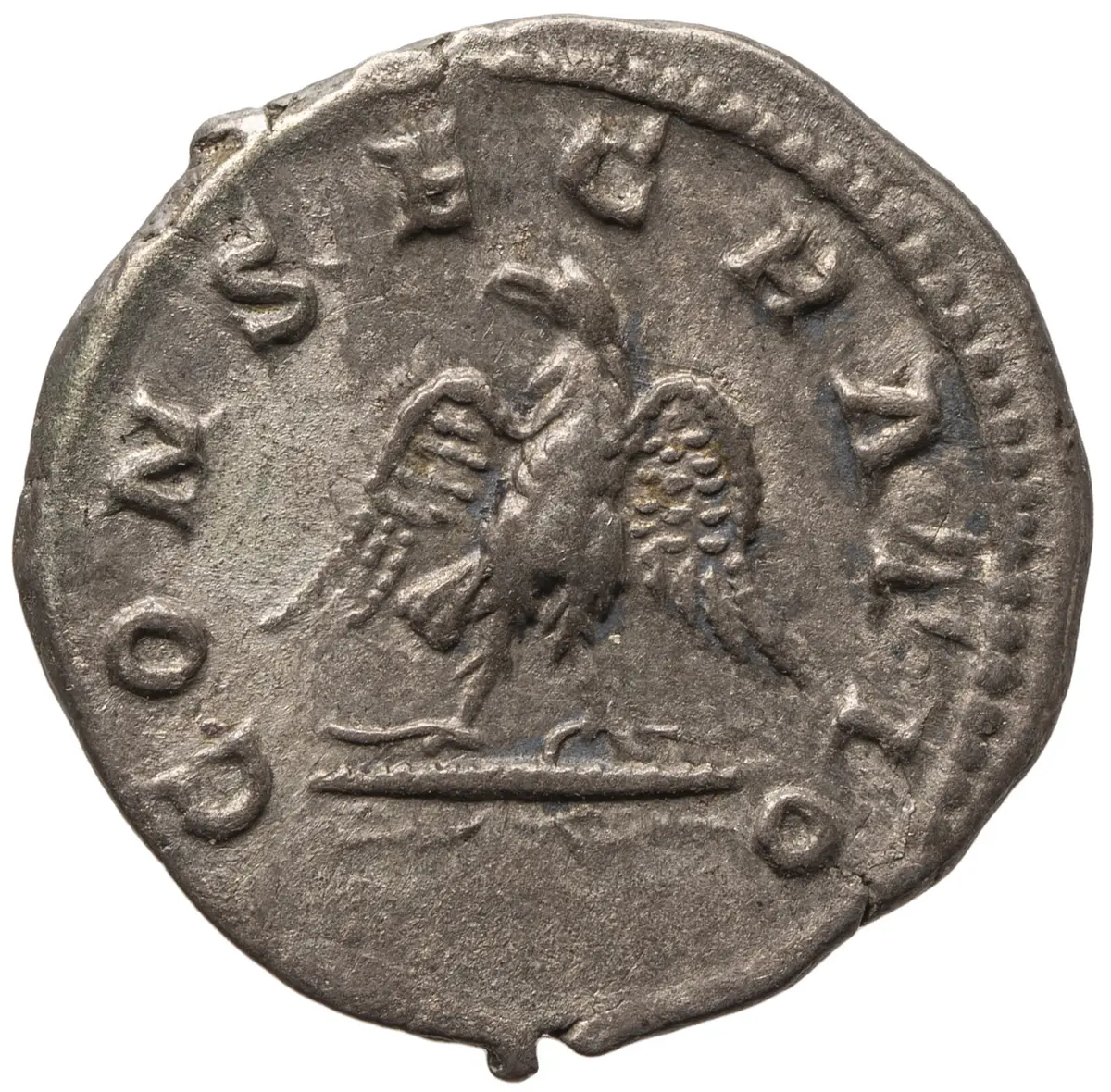 Divus Septimius Severus