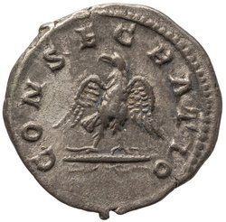 Divus Septimius Severus