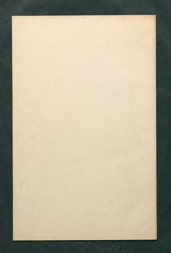 Bestimmungen für den Dienstbetrieb in den kunsthistorischen Sammlungen des Allerhöchsten Kaiserhauses