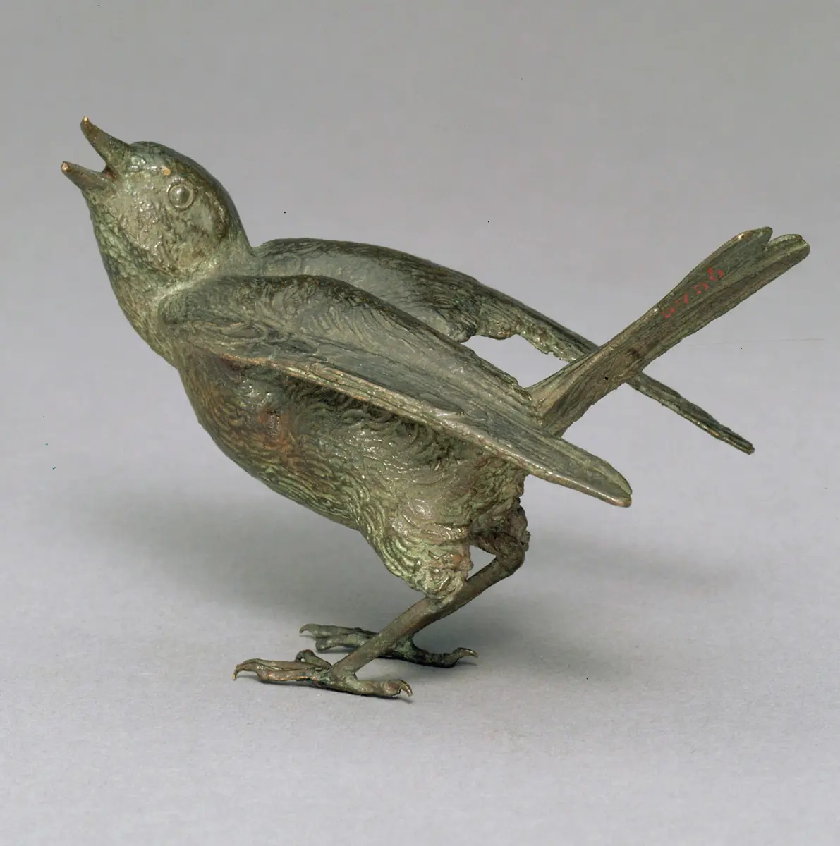 Vogel (Teichrohrsänger)