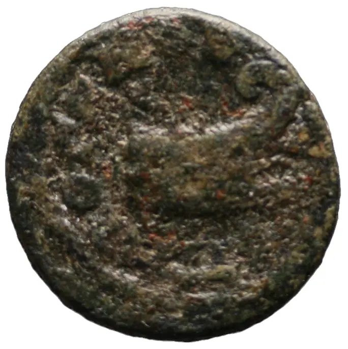 Smyrna (autonom)