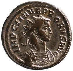 Probus