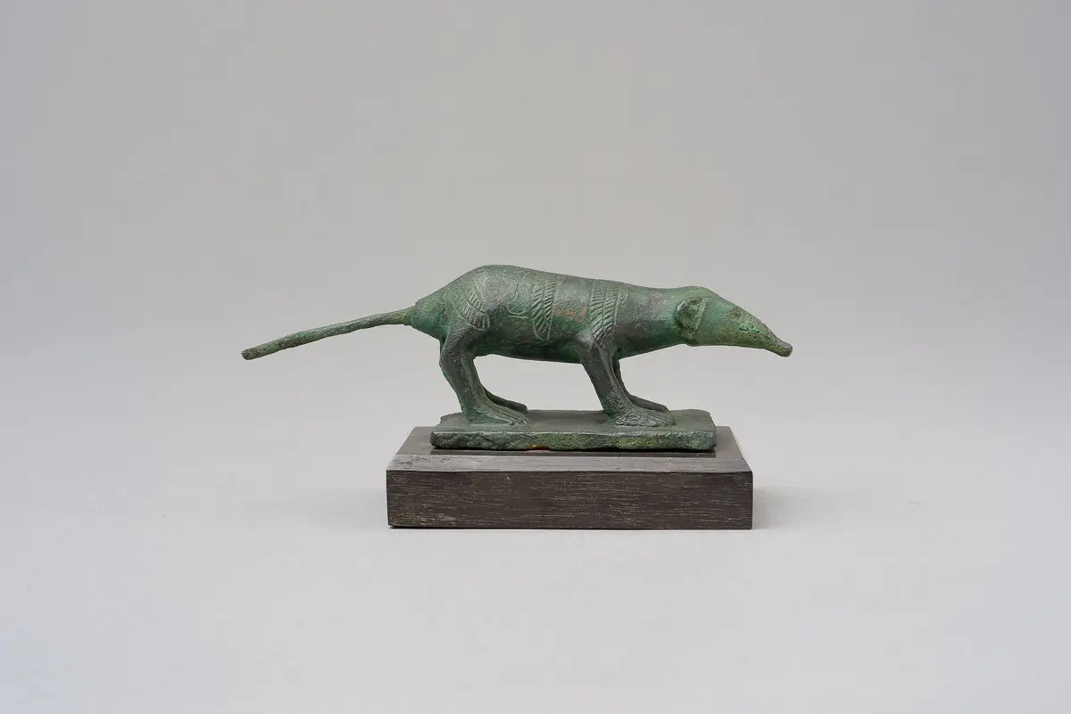 Spitzmaus