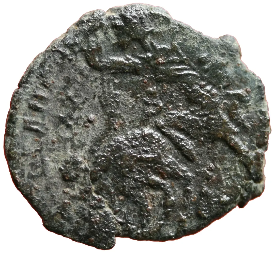 Constantius Gallus