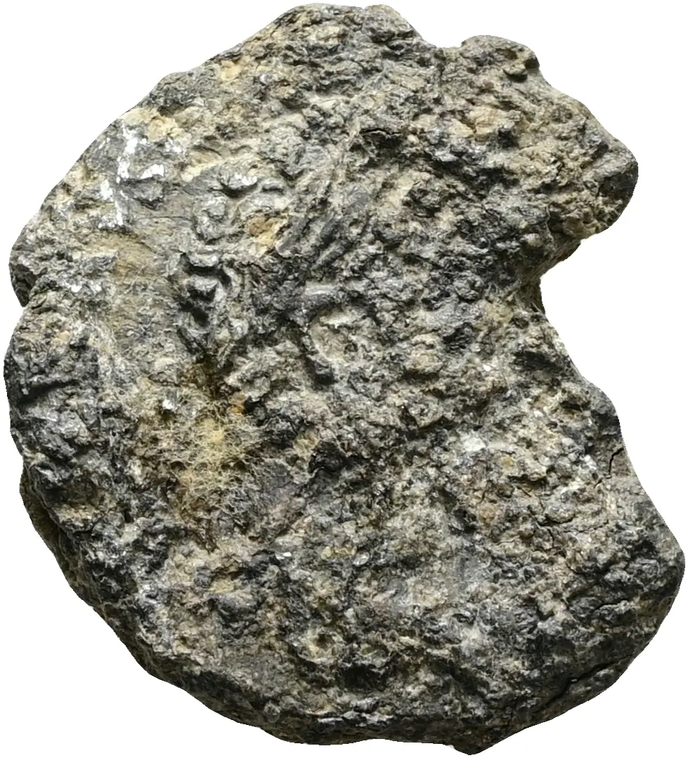 Münze