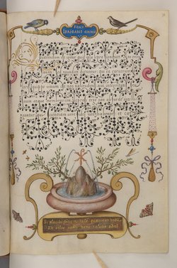 Schriftmusterbuch; 127 Blatt Pergament